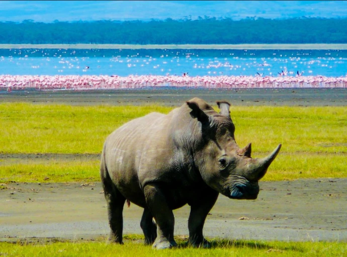 Lake Nakuru National Park