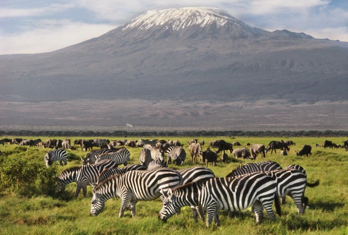 Amboseli National park