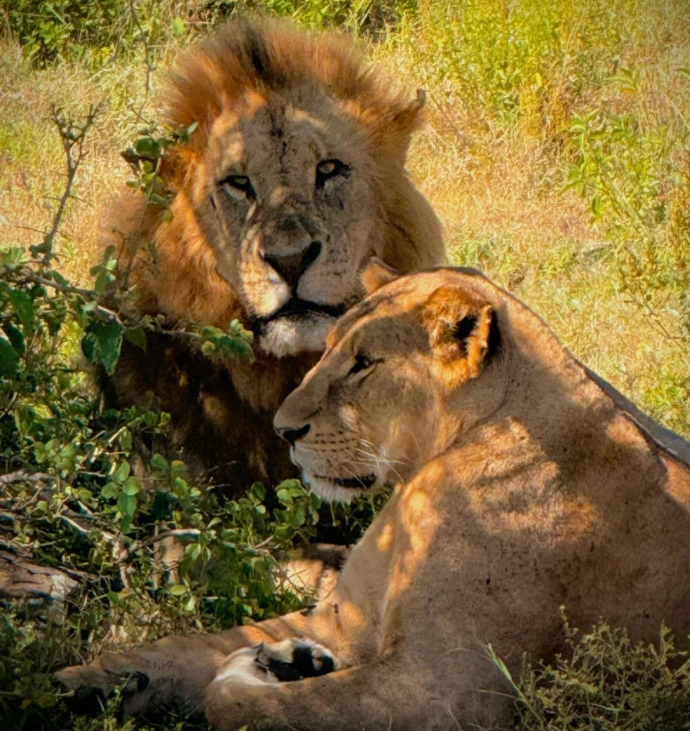 Lake Nakuru National Park